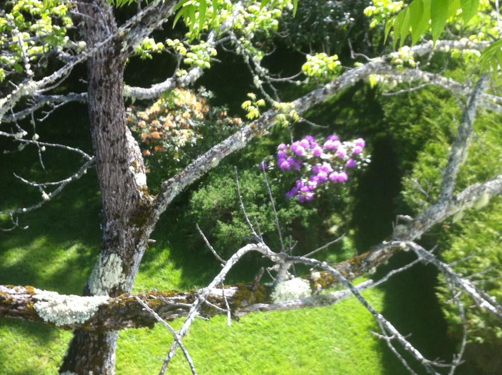 Tara Manor Inn St. Andrews By The Sea Ngoại thất bức ảnh